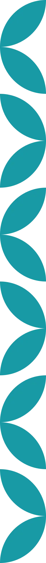 decorative border