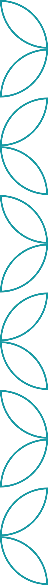 decorative border