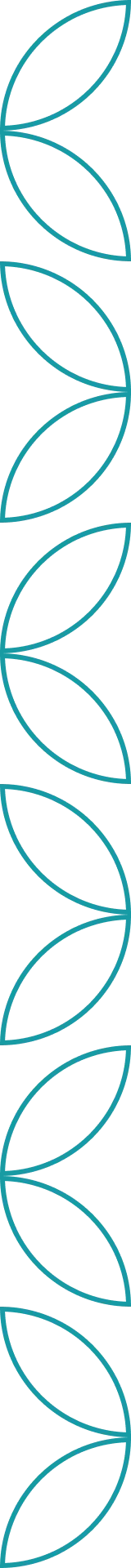 decorative border